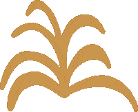 sierrafrostad art nature plant plants Sticker