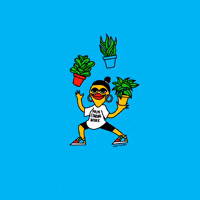 PLANT JUGGLING