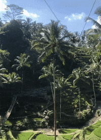 WanderlustRetreats bali send it sendit wanderlustfitnessretreats GIF
