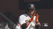 Regular Season Sport GIF by MLB