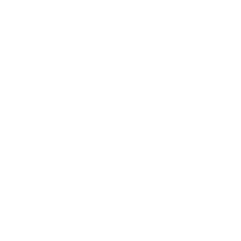 Skull Detailing Sticker by NukeGuys