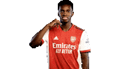 Celebrate London Sticker by Arsenal
