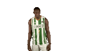 Liga Endesa Basketball Sticker by ACB