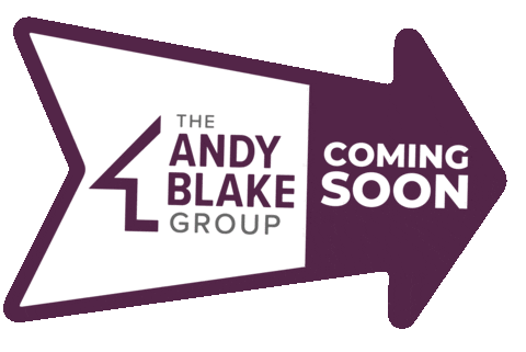 Real Estate Realtor Sticker by The Andy Blake Real Estate Group