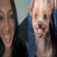 Sexy Stan Twitter GIF