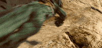 GIF by Star Wars