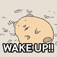 Wake Up Sleeping GIF