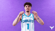 Lamelo Ball Nba GIF by Charlotte Hornets
