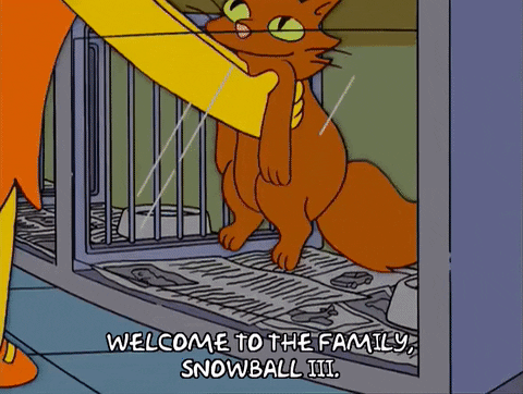 Lisa Simpson Hug GIF by The Simpsons