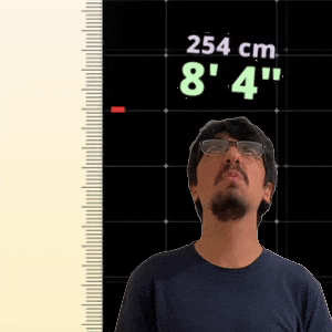 8' 4"