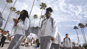 College Football GIF by USF Athletics