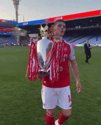Arsenal Gunners GIF