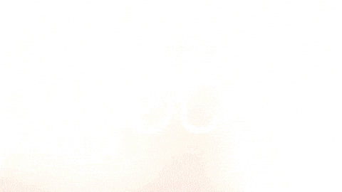 Celebration Goal GIF by FC Red Bull Salzburg