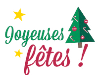 Merry Christmas Star Sticker by Le Boat