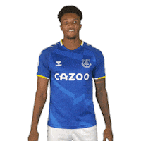 Celebrate Everton Fc Sticker by Everton Football Club