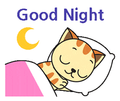 Good Night Cat GIF by JPedicini