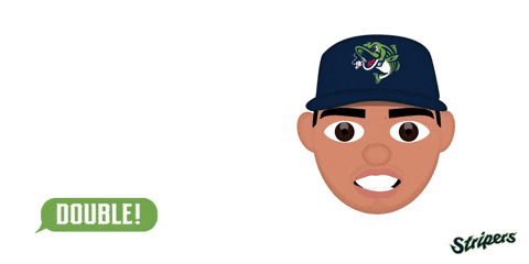 GIF by Gwinnett Stripers