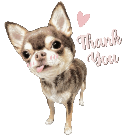 Dog Thank You Sticker