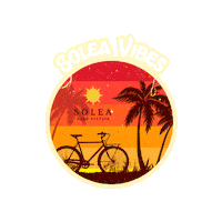 drinksolea sun solea solea hard seltzer solea vibes Sticker