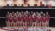 Elon Volleyball GIF by Elon Phoenix