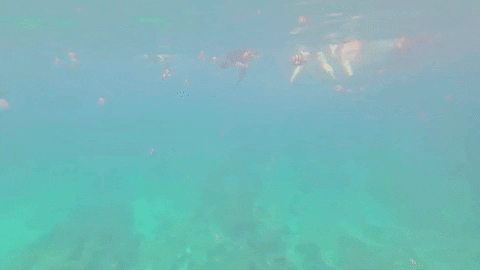 trining giphyupload GIF