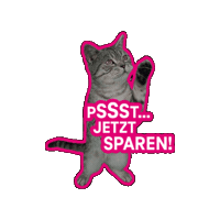 Cat Sparen Sticker by Deutsche Telekom