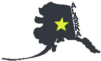 United States Star Sticker