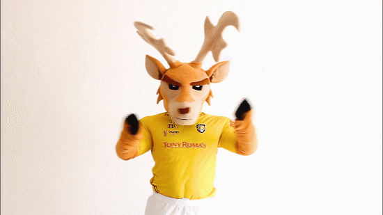 yucatan no GIF by Venados FC