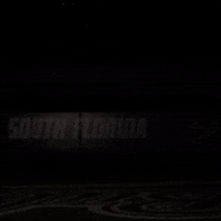 South Florida Baseball GIF by USF Athletics