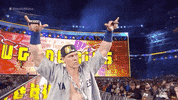 Wrestlemania 35 Sport GIF by WWE