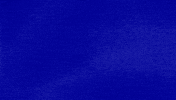 Seek Ye Shall Find GIF by Jeopardy!