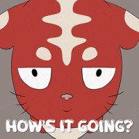 Nft Wadup GIF by Kitaro World