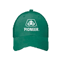 Pioneer Maiz Sticker by Grupo Sacsa