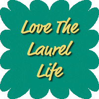 laurel_institutes love happy fun school GIF