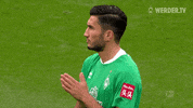 Football Soccer GIF by SV Werder Bremen