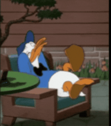 Duck GIF