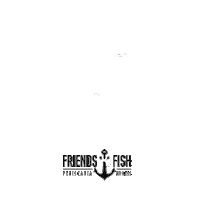 comida goodfood Sticker by Friends & Fish