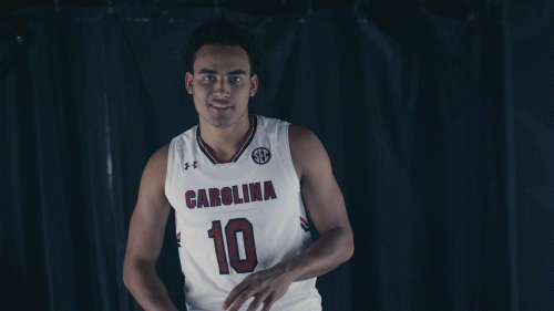 minaya GIF by gamecocksonline