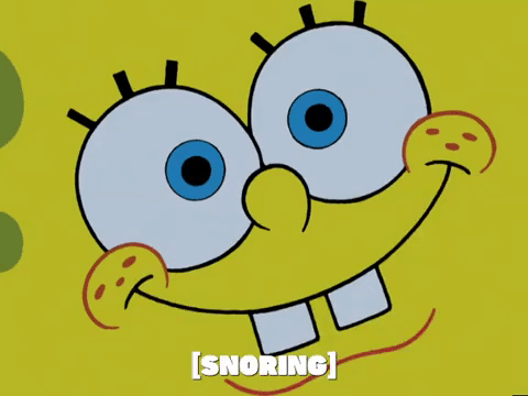 season 5 new digs GIF by SpongeBob SquarePants