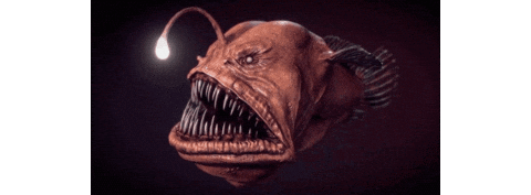 Angler Fish Ocean Sticker