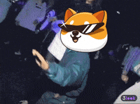 Fun Crypto GIF by Baby Doge Coin
