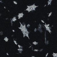 Christmas Streaming Sticker by Tootor