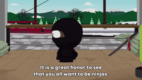 ninja costume GIF by South Park 