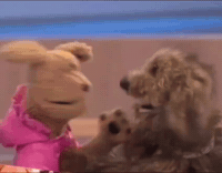 GIF by LIBERUM