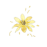 Flower Boho Sticker