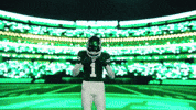 Sauce Defense GIF by New York Jets