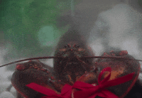 Were Good GIF by Dua Lipa