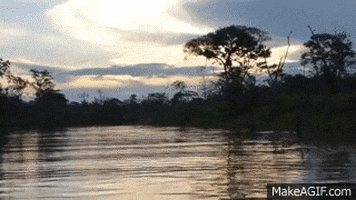 river GIF