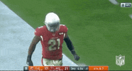 Regular Season Football GIF by NFL