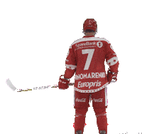 Stjernen Elite Sticker by StjernenHockey